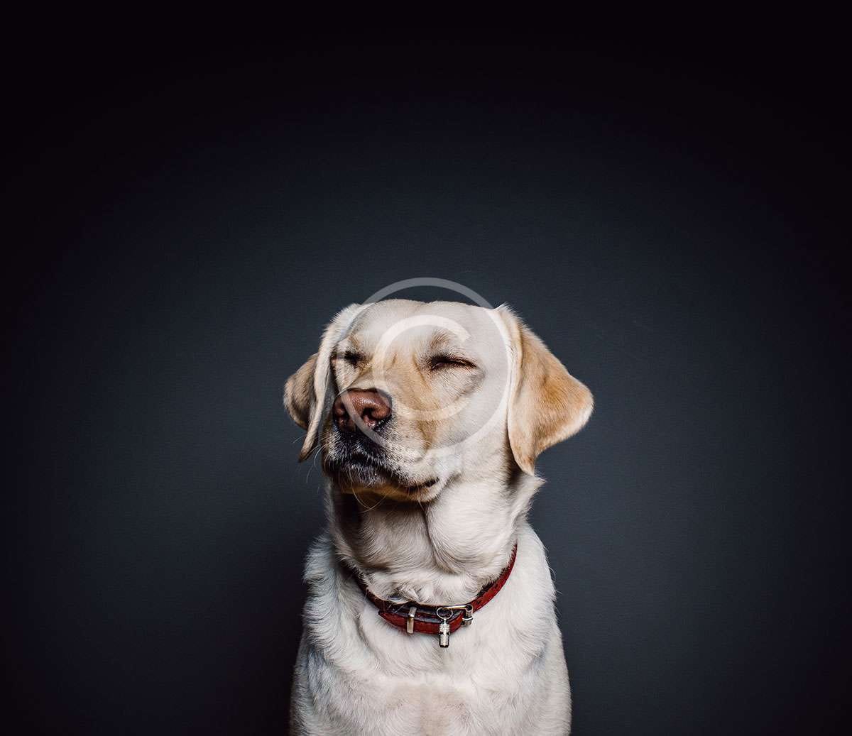 Audio Post Format